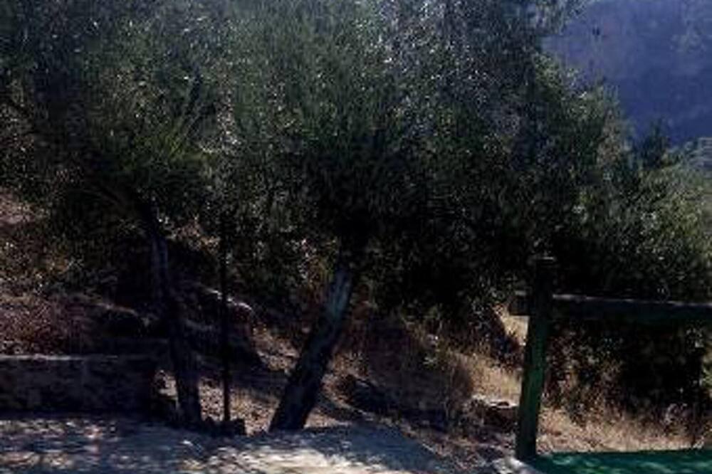 Photo of Outdoor in Sorihuela del Guadalimar