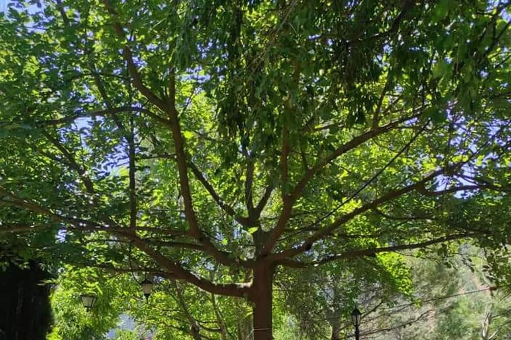 Photo of Outdoor in Sorihuela del Guadalimar