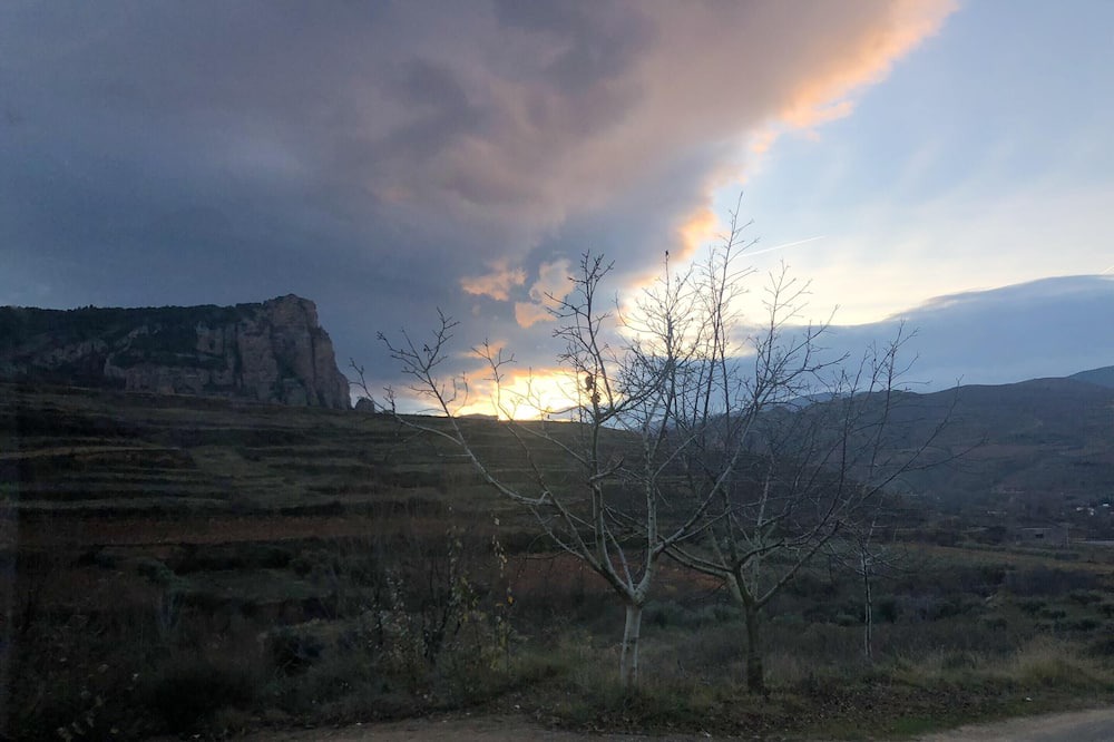 Photo of Others in Viguera