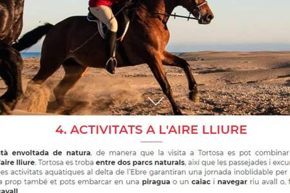 Photo of Others in Tortosa