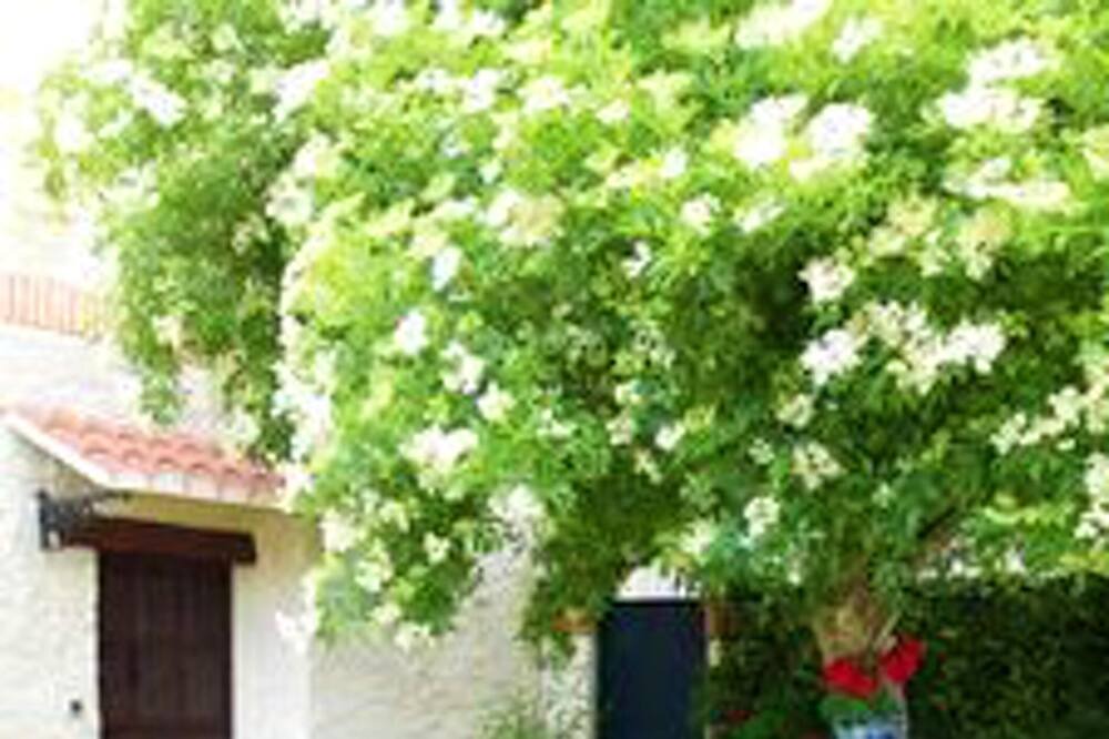 Photo of Outdoor in Ivanrey