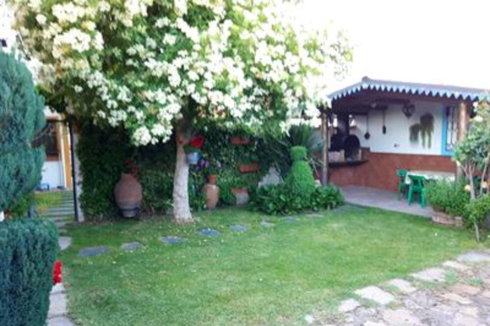 Photo of Outdoor in Ivanrey