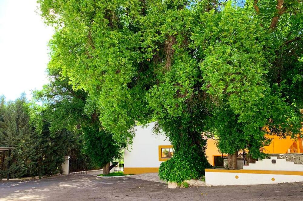 Photo of Outdoor in Huelma