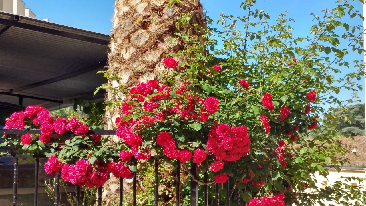 Photo of Outdoor in Banos de Montemayor