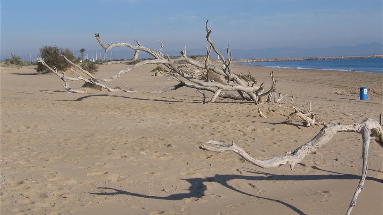 Photo of Others in El Moncayo