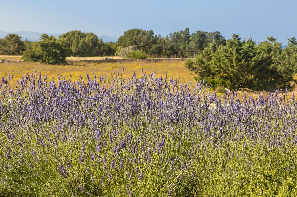 Photo of Outdoor in Es Calo