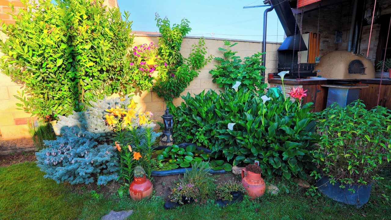 Photo of Outdoor in Chozas de Abajo