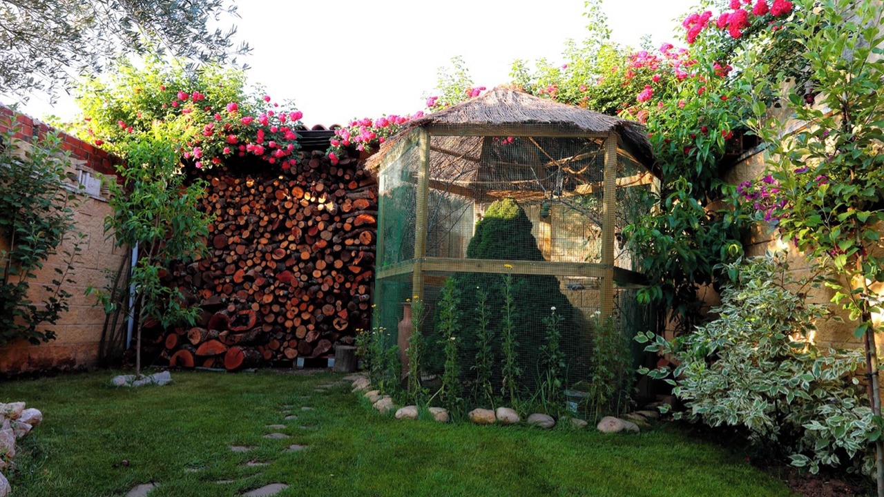 Photo of Outdoor in Chozas de Abajo