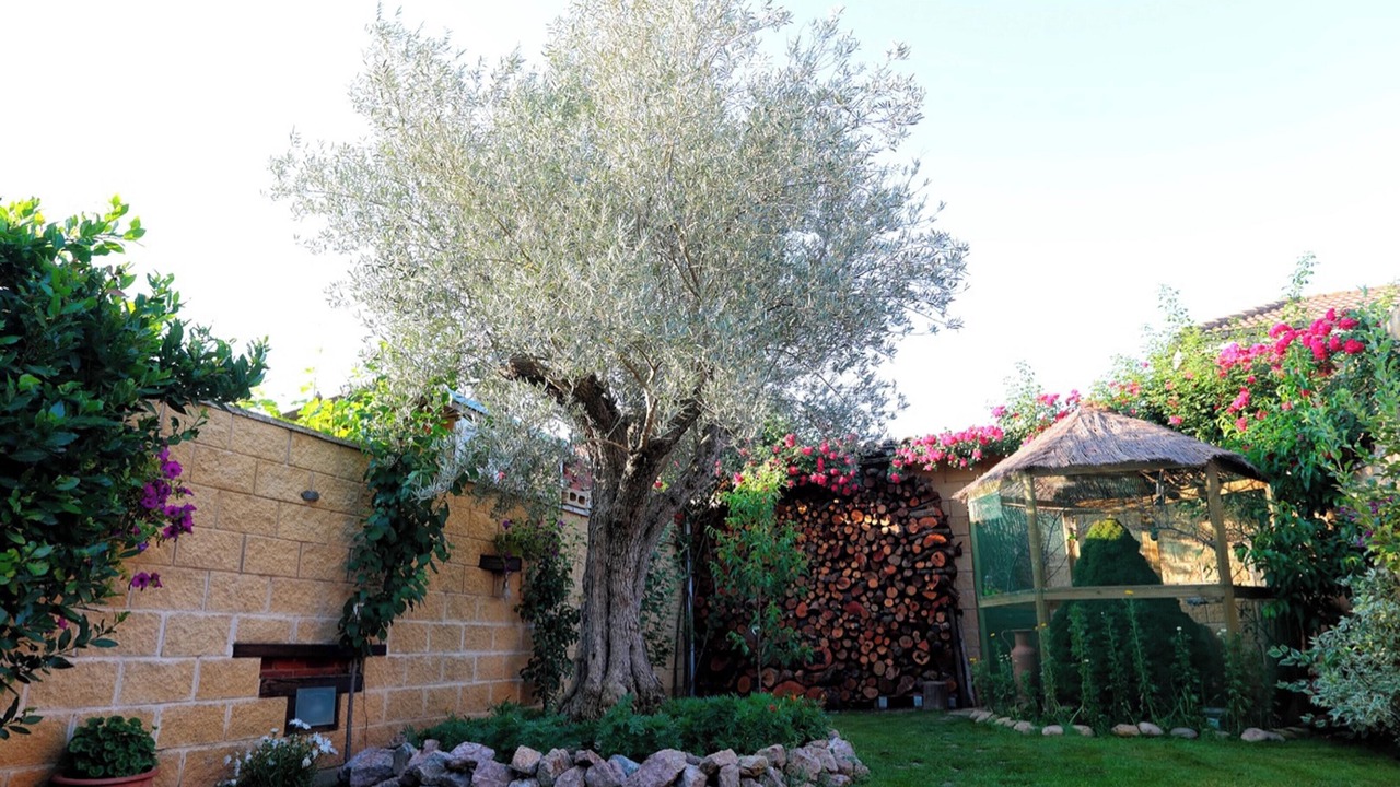 Photo of Outdoor in Chozas de Abajo