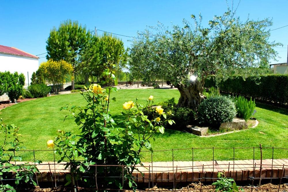 Photo of Outdoor in Tornabous