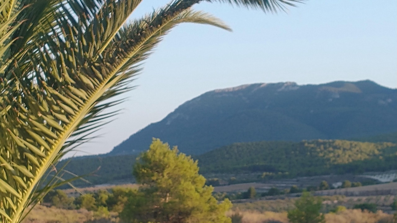 Photo of Others in Castalla