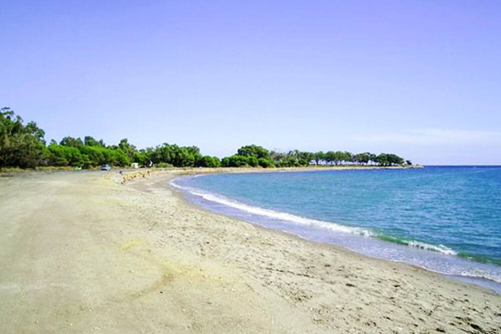 Photo of Others in Palomares