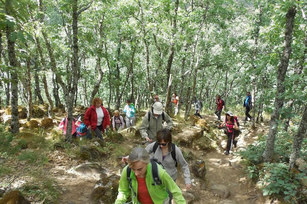 Photo of Others in Serradilla