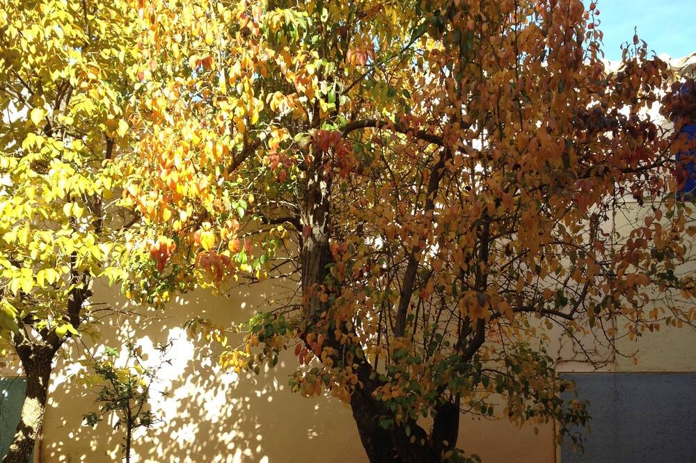Photo of Outdoor in Valdepenas