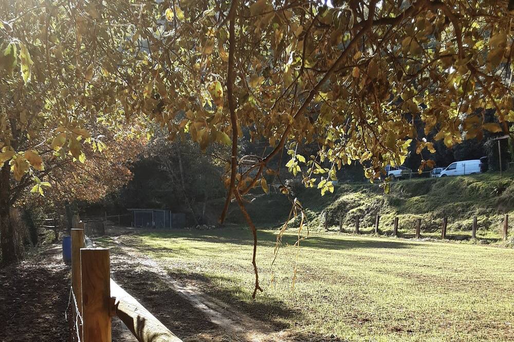 Photo of Outdoor in Sant Ferriol