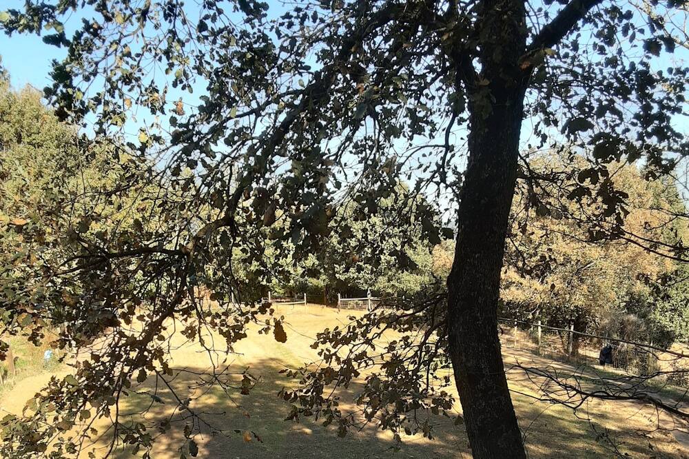 Photo of Outdoor in Sant Ferriol