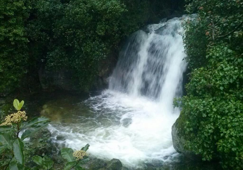 Photo of Outdoor in Valverde de la Vera