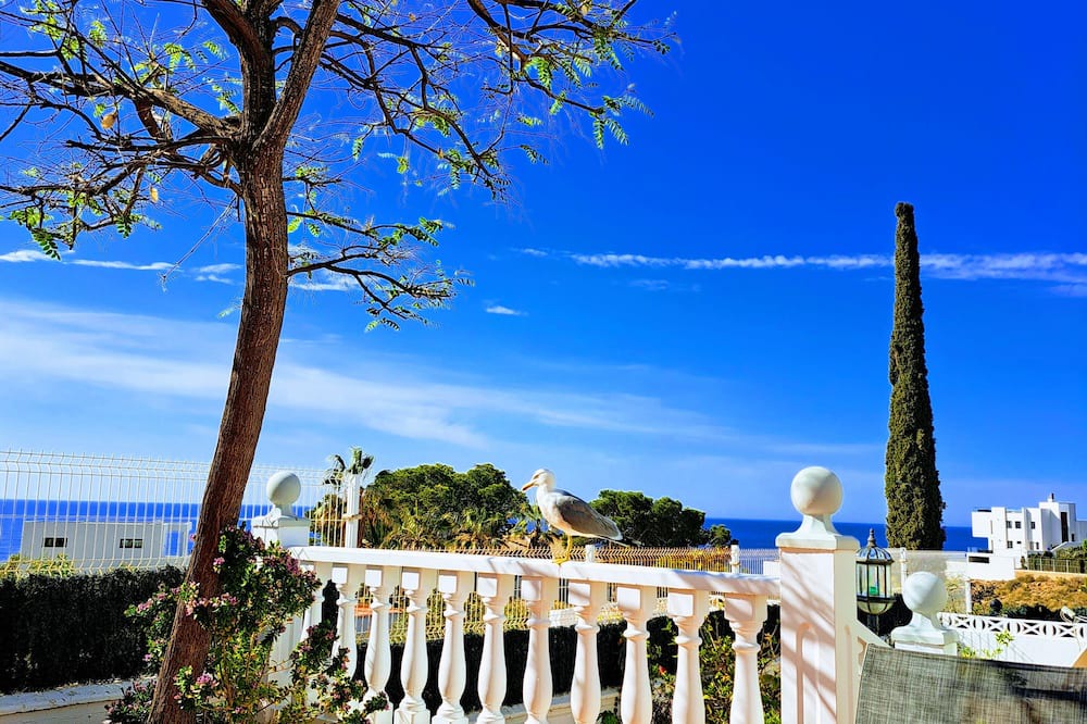 Photo of Outdoor in Los Puertos