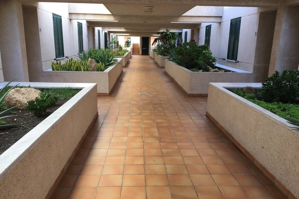 Photo of Outdoor in El Medano