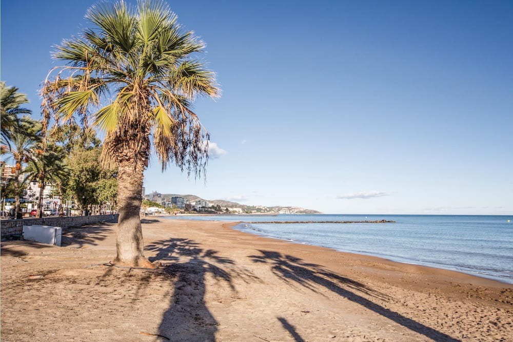 Photo of Others in Benicassim