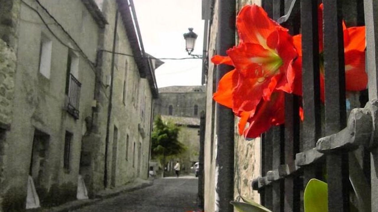Photo of Outdoor in Atienza