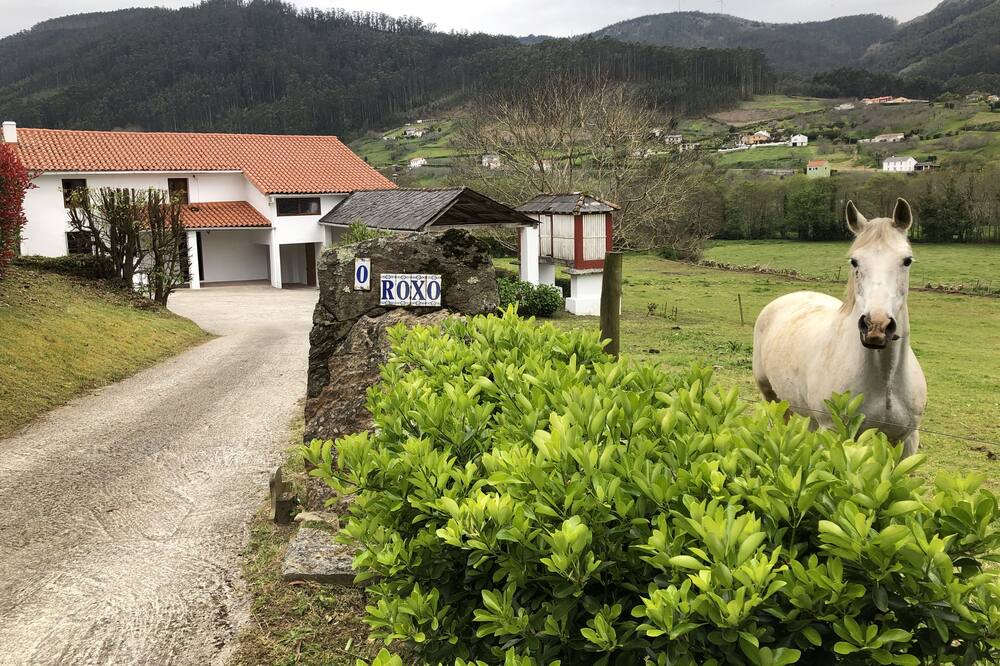 Photo of Outdoor in Mera de arriba