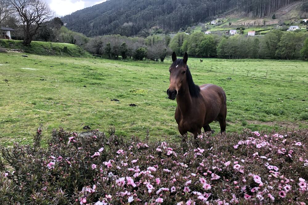 Photo of Outdoor in Mera de arriba