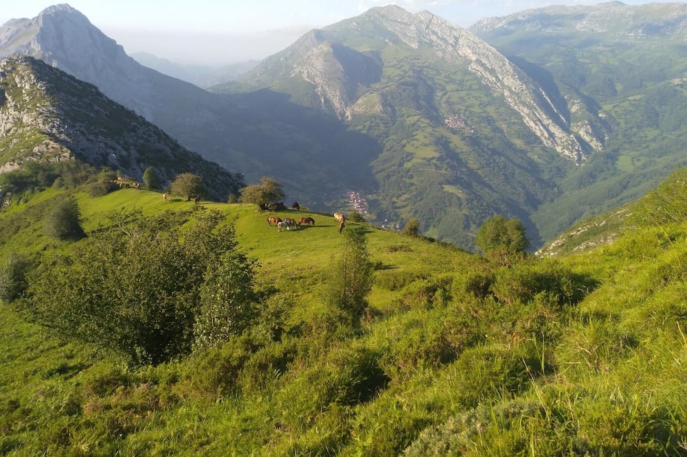 Photo of Outdoor in Quiros