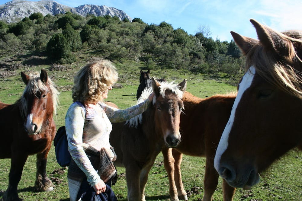 Photo of Others in Quiros