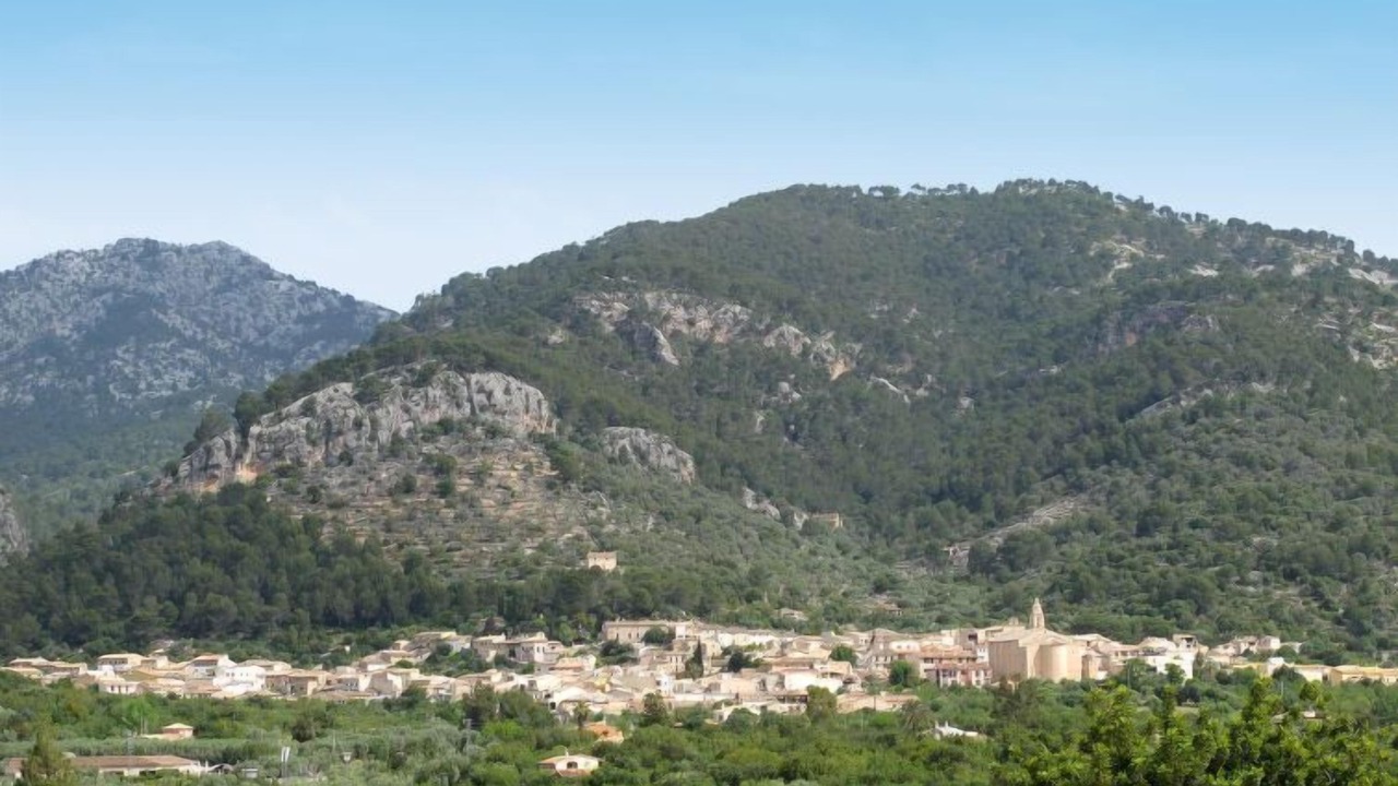 Photo of Outdoor in Selva