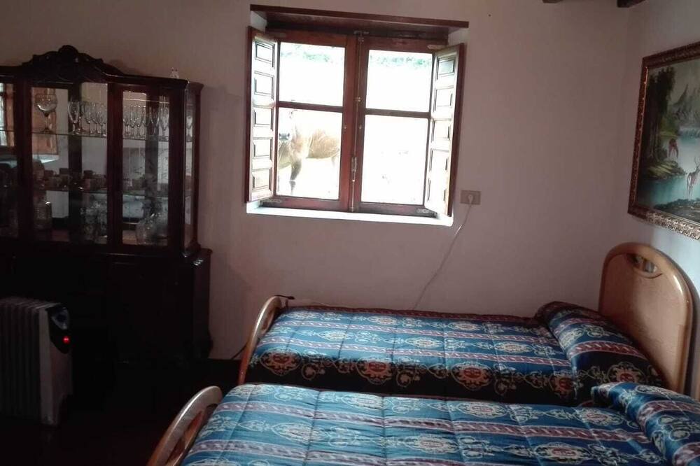Photo of Bedroom in Grandas de Salime