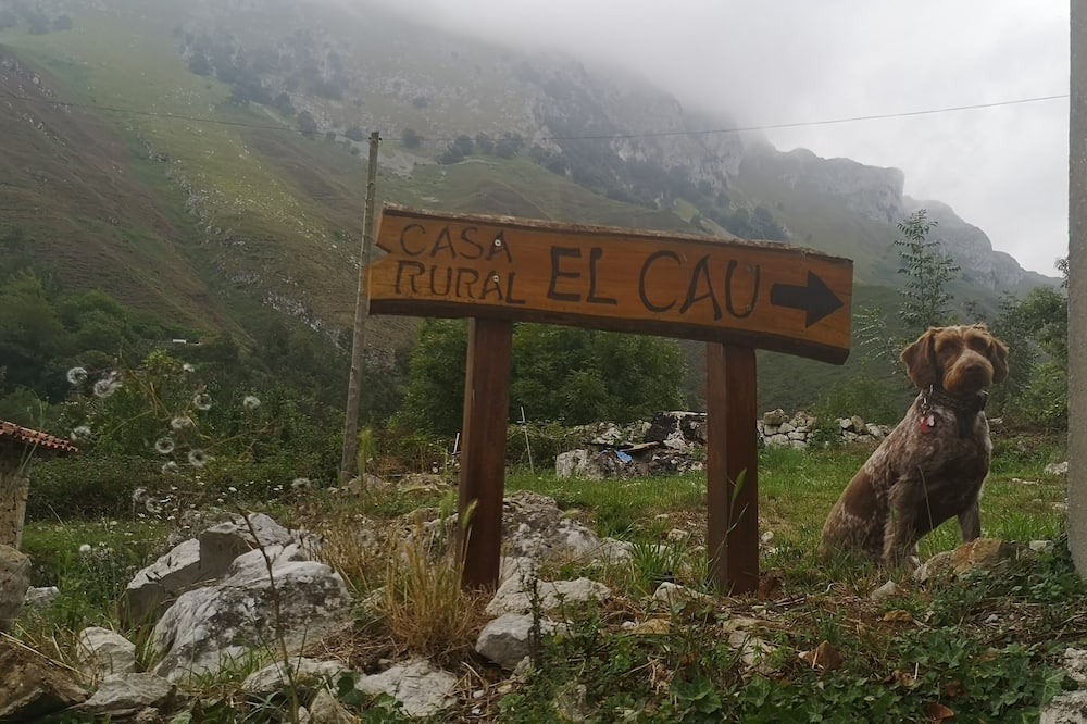 Photo of Outdoor in Llonin