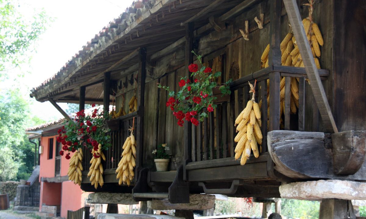 Photo of Outdoor in San Juan de Parres