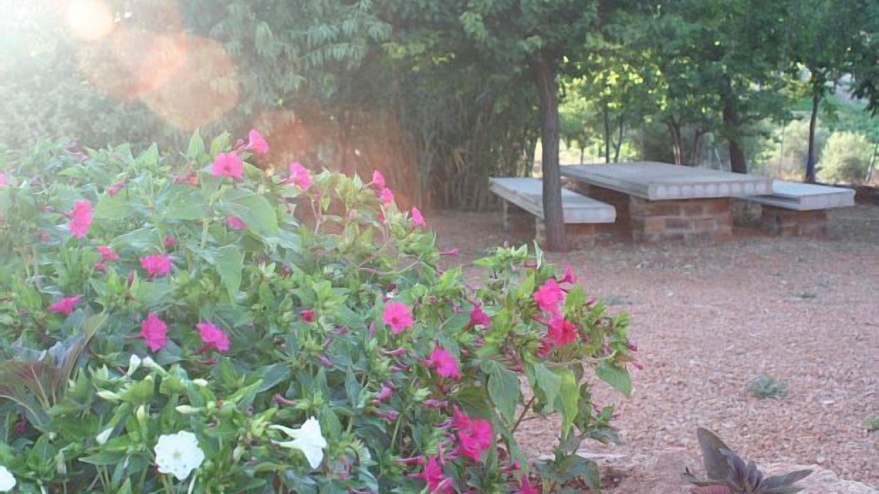 Photo of Outdoor in Villahermosa