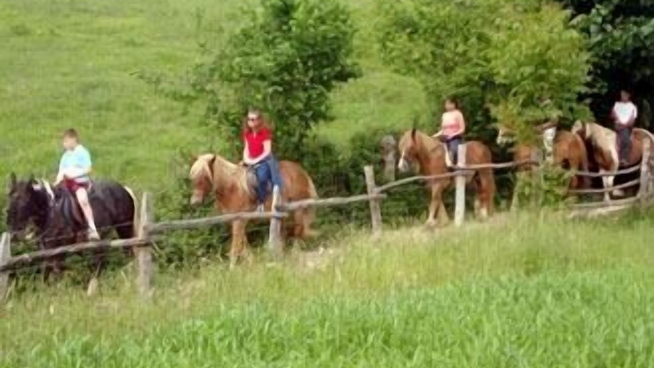 Photo of Others in Corao