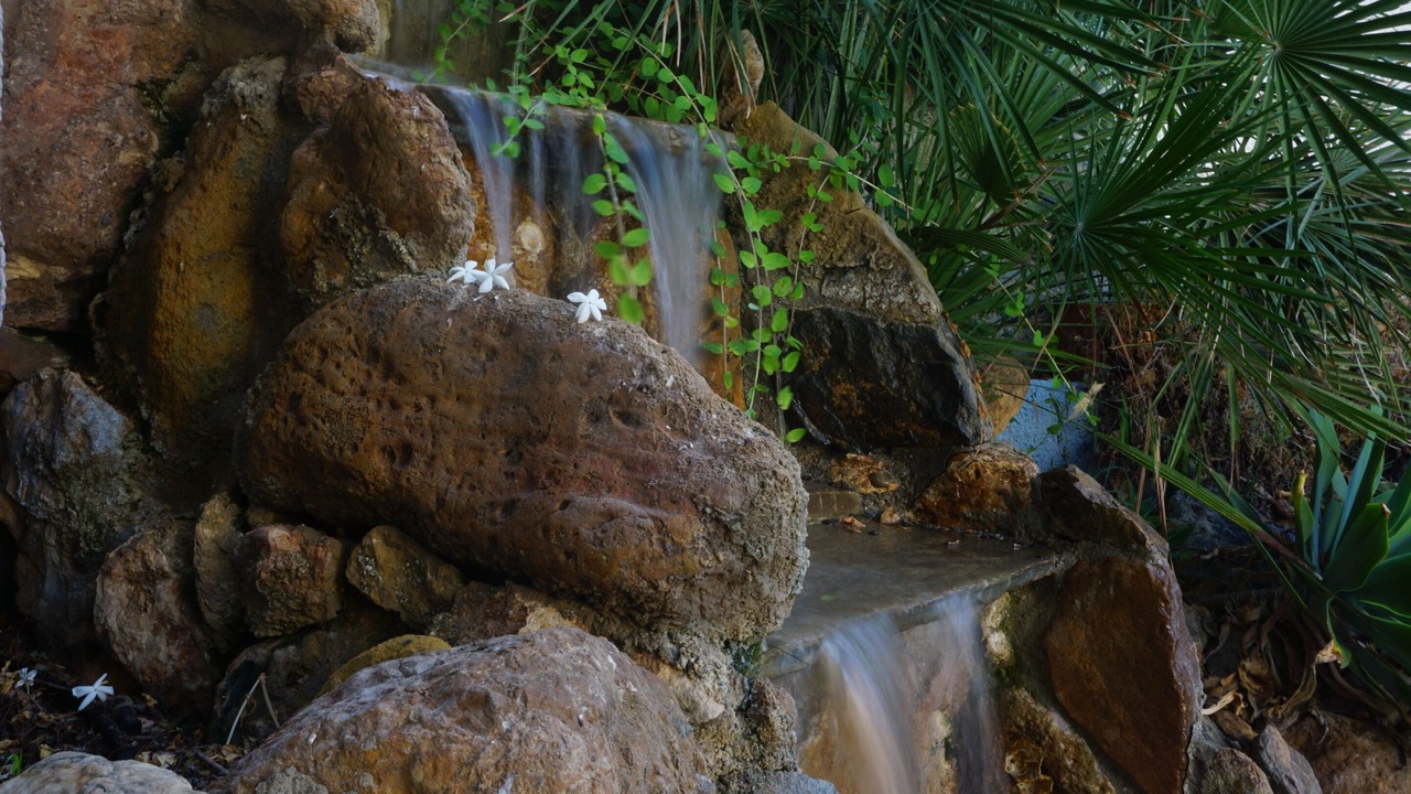 Photo of Outdoor in Garrucha