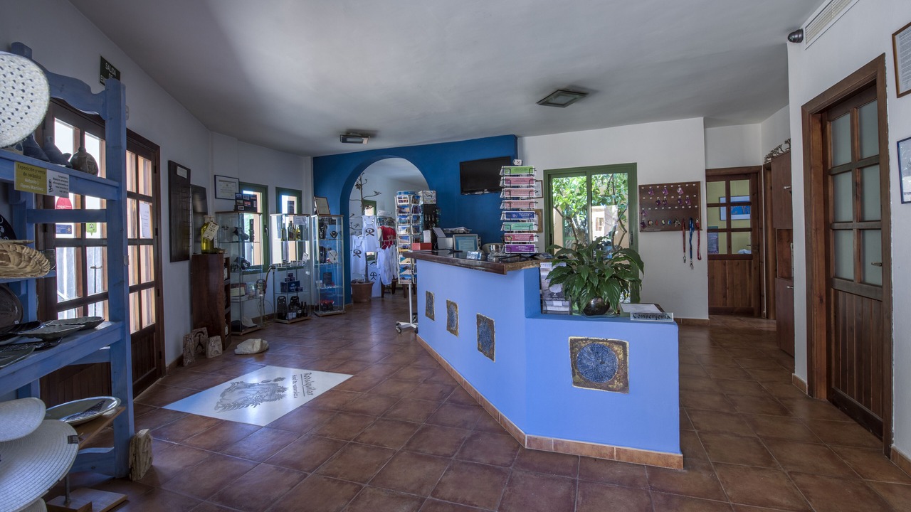 Photo of Others in Rodalquilar