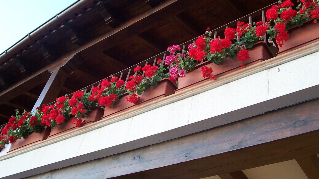 Photo of Outdoor in Milagros