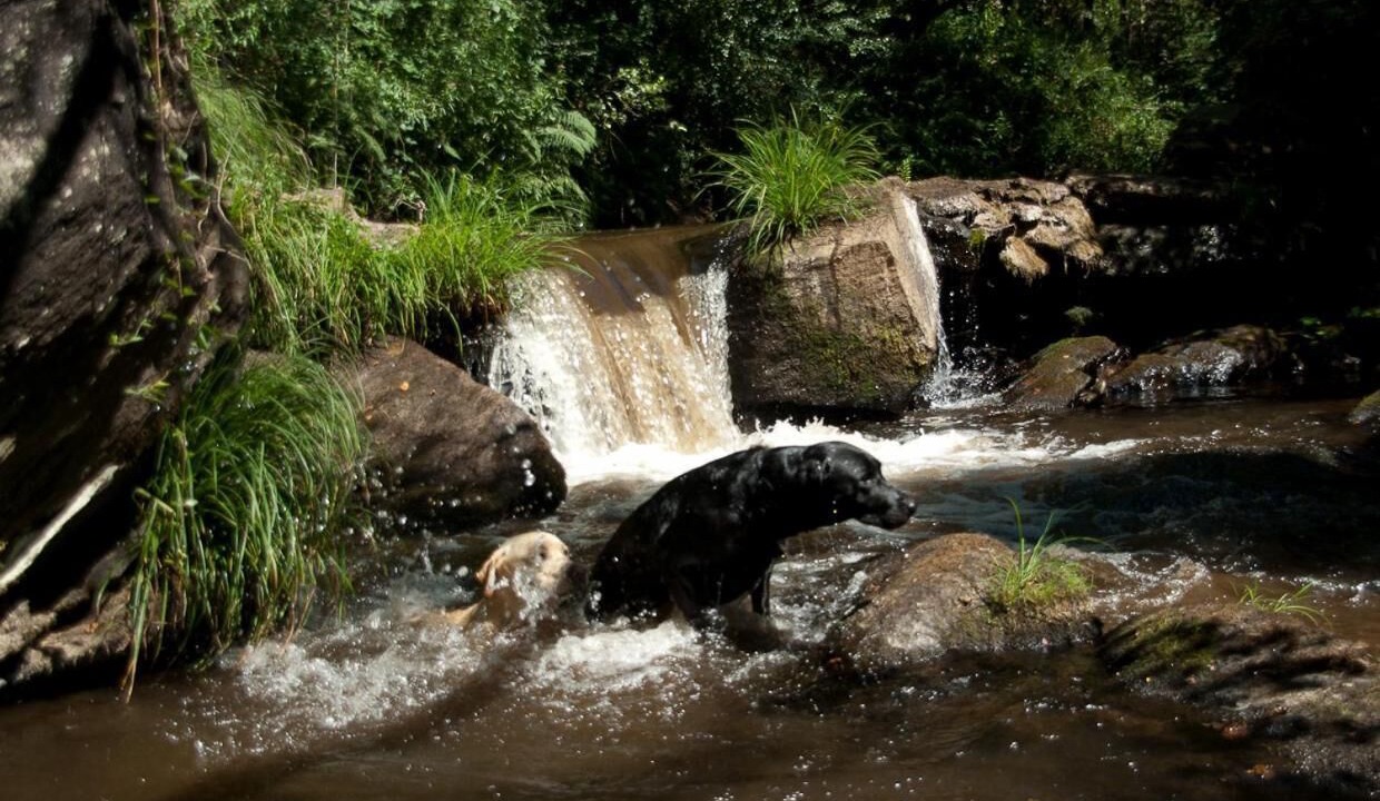 Photo of Outdoor in O Pino
