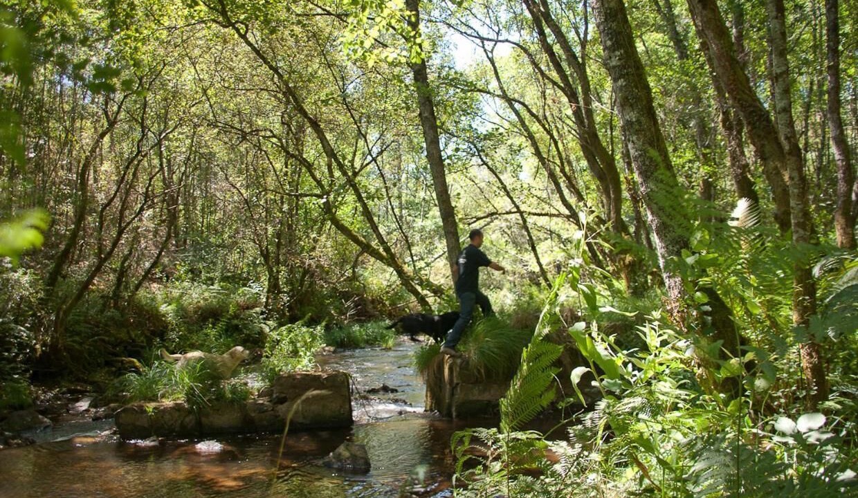 Photo of Outdoor in O Pino