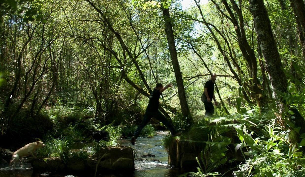 Photo of Outdoor in O Pino