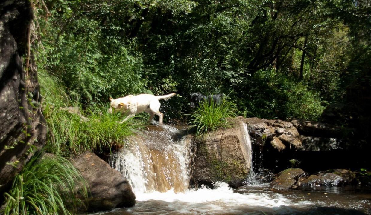 Photo of Outdoor in O Pino