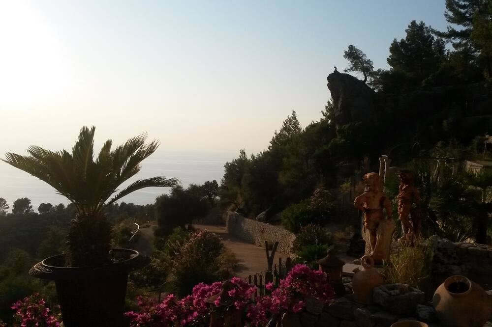 Photo of Outdoor in Estellencs