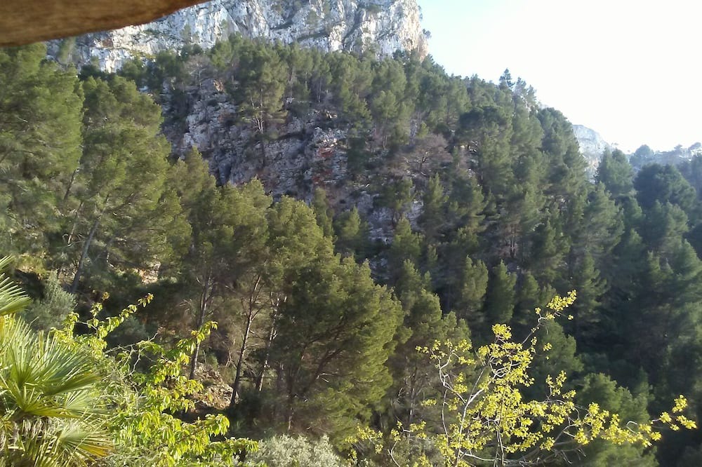 Photo of Outdoor in Estellencs