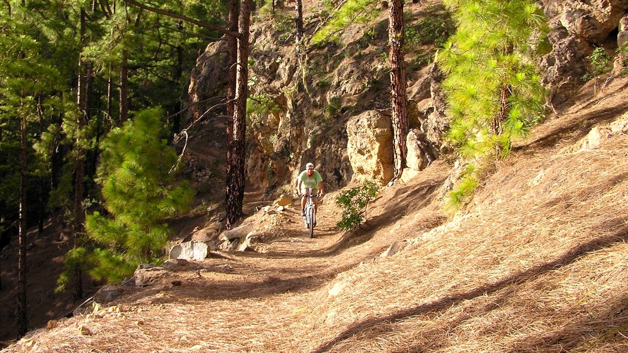 Photo of Outdoor in Arico