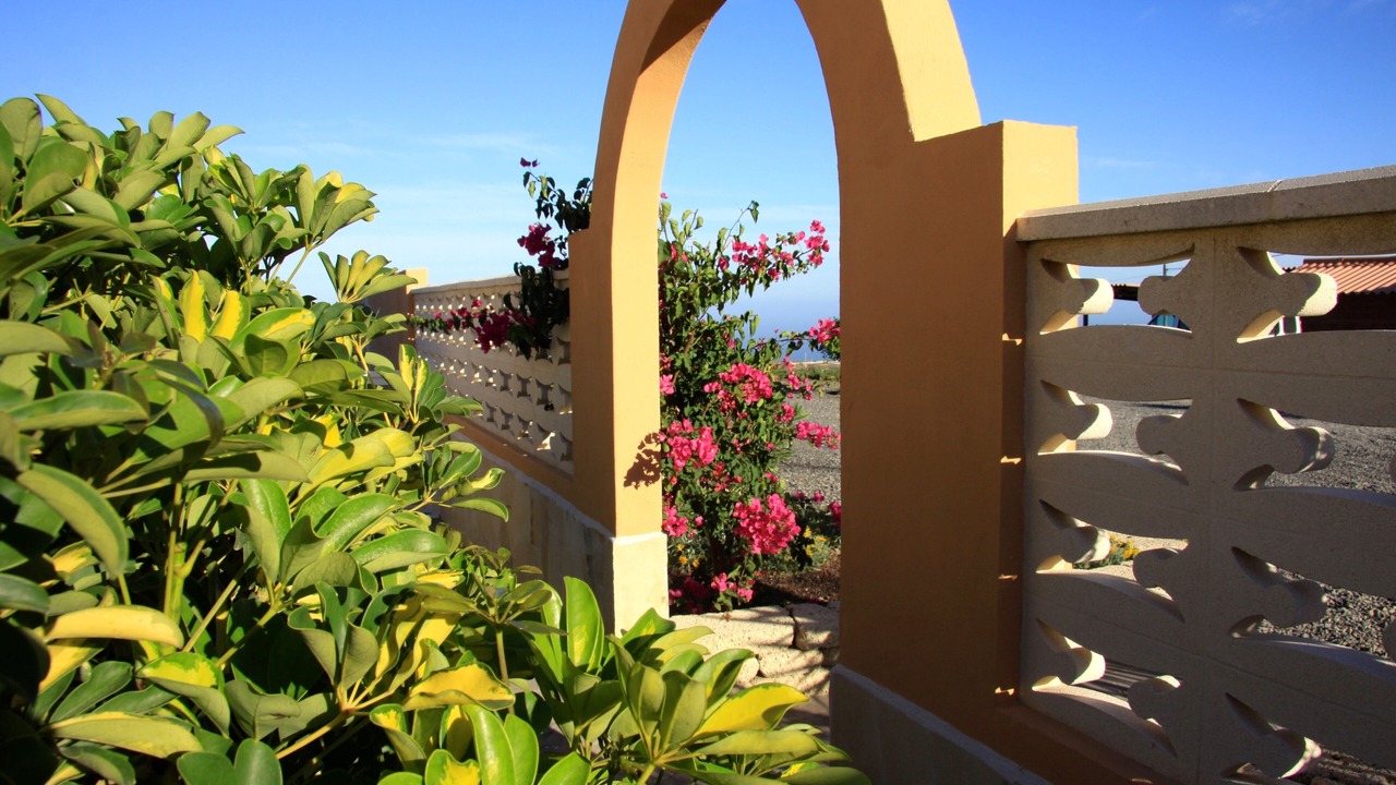Photo of Outdoor in Arico