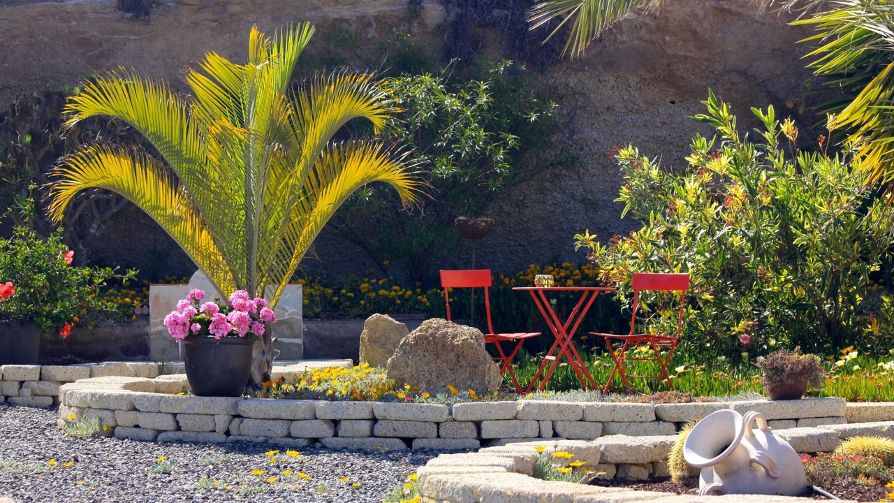 Photo of Outdoor in Arico