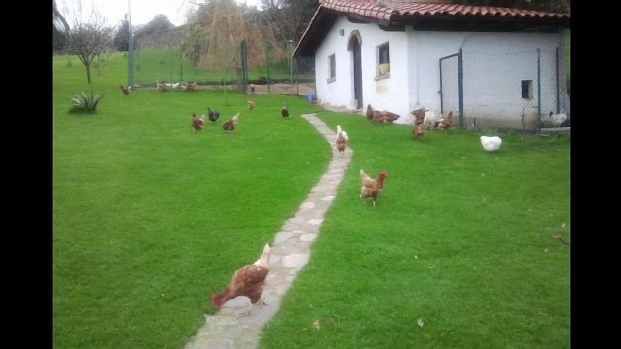 Photo of Outdoor in Lamadrid