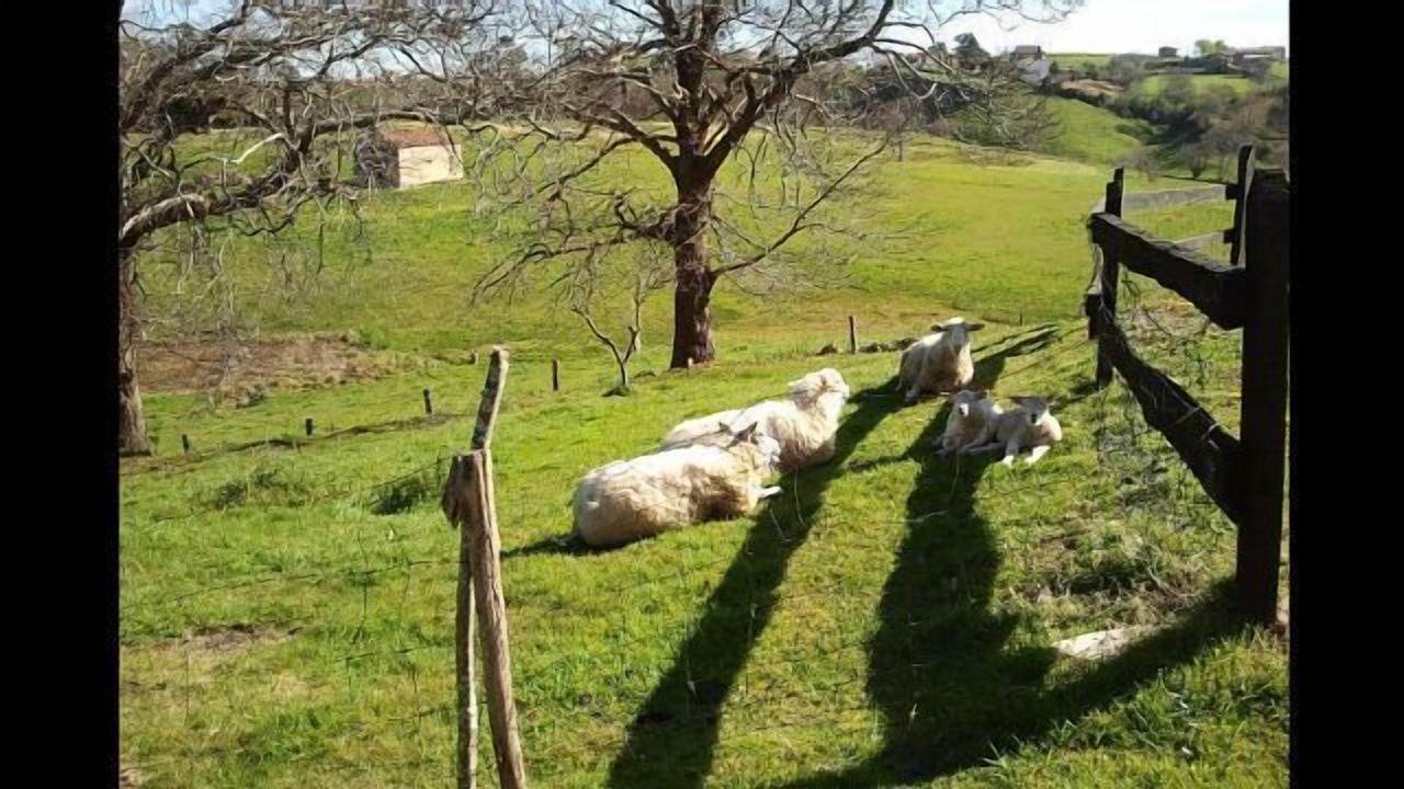 Photo of Outdoor in Lamadrid