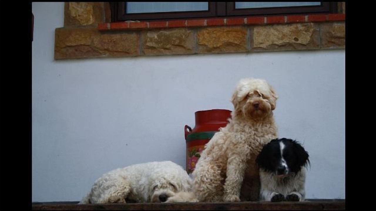 Photo of Others in Lamadrid